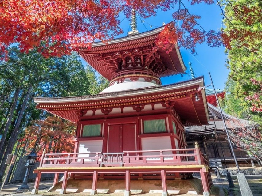 From Osaka: Mt. Koya Private Walking and Train Tour - Tour Overview and Pricing