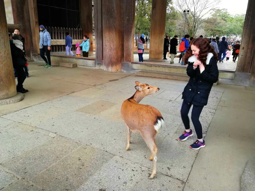 Nara: Nara Park Private Family Bike Tour With Lunch - Private Family Bike Tour Overview