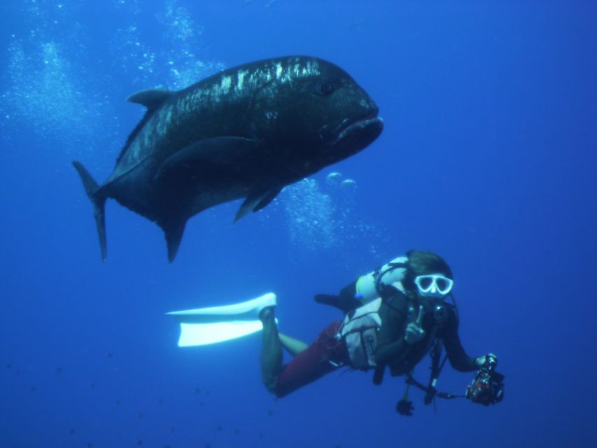 National Park Kerama Islands 2 Boat Fan Diving (With Rental) - National Park Kerama Islands Overview