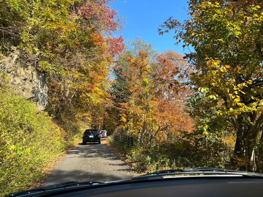 Driving Support in Akita - Navigating Japans Road Rules