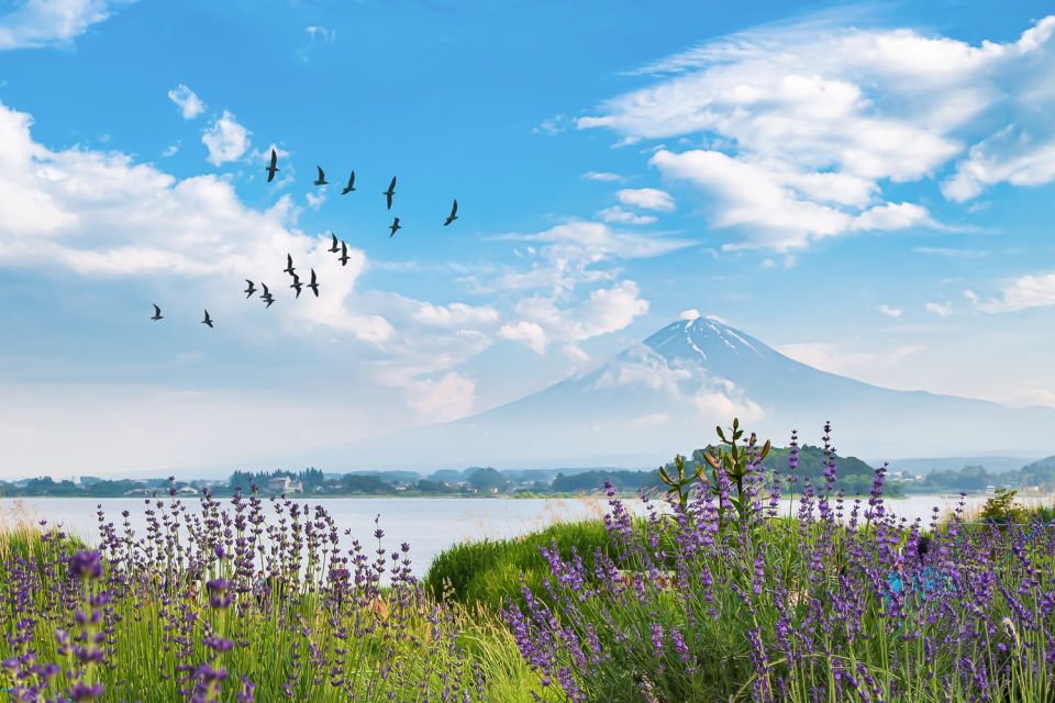 From Tokyo: 1-Day Private Mt. Fuji Tour by Car - Experience the Best of Mt. Fuji
