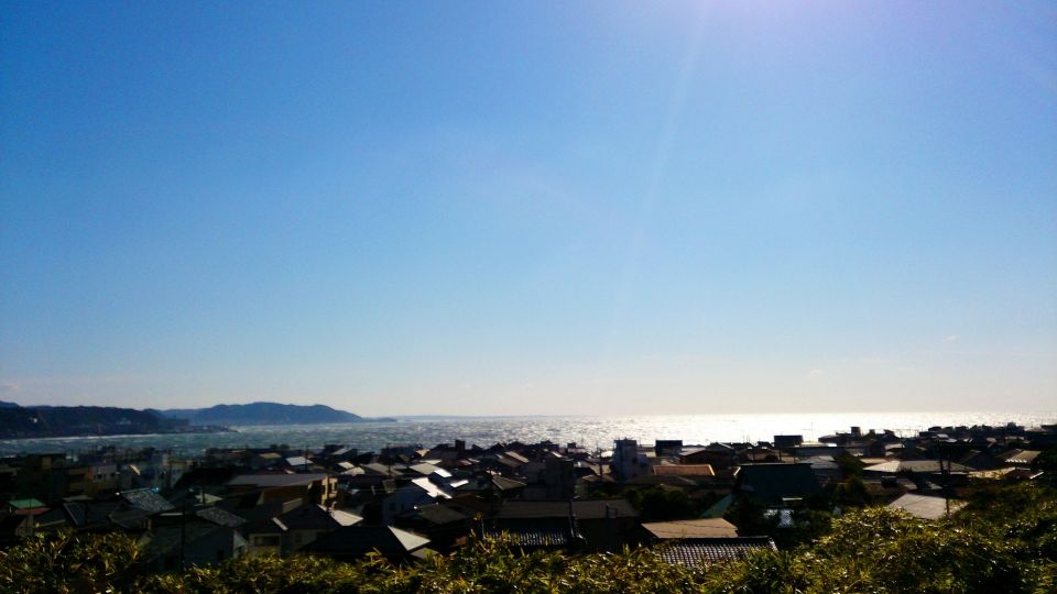 From Tokyo: Kamakura and Enoshima 1-Day Bus Tour - What to Expect on the Tour
