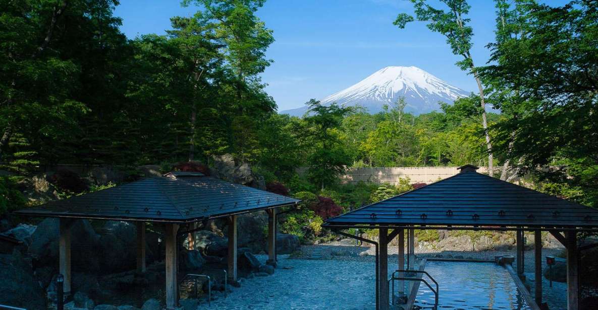 From Tokyo: Mount Fuji Day Trip With Yamanakako Hot Springs - Itinerary and Schedule