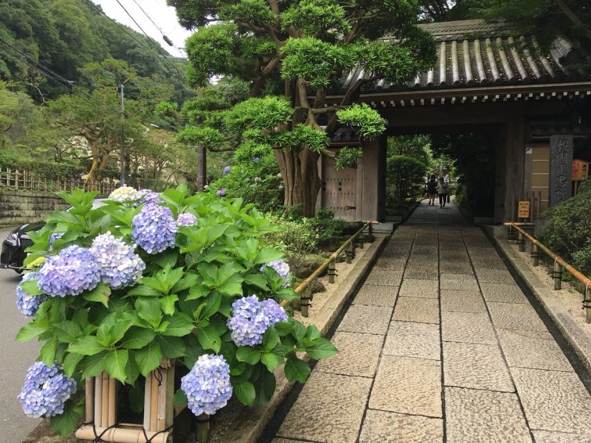 Kamakura: Private History and Heritage Tour by Rickshaw - What to Expect on Your Tour