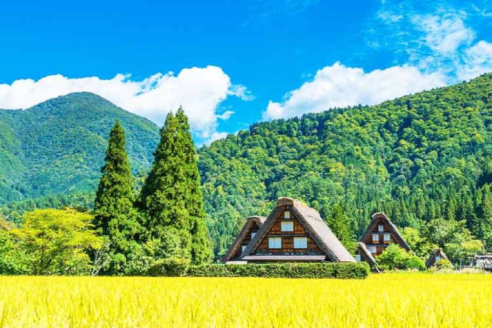 Nagoya: Shirakawa-go Village and Takayama UNESCO 1-Day Trip - Itinerary and Schedule