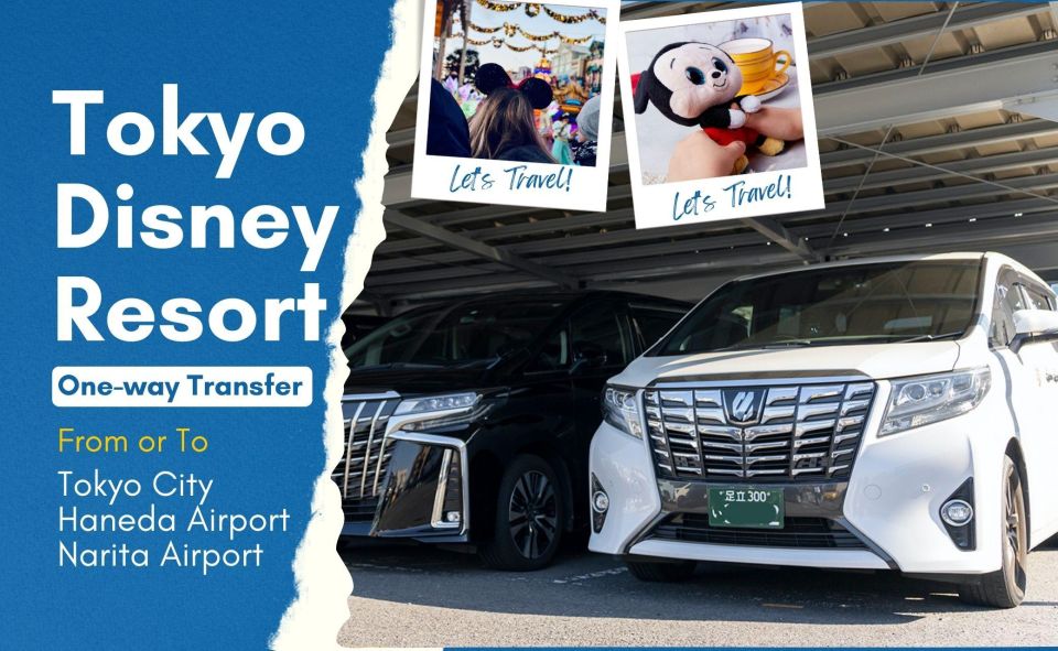 Tokyo Disney Resort Private Transfer: Tokyo, Narita & Haneda - Whats Included and Extras