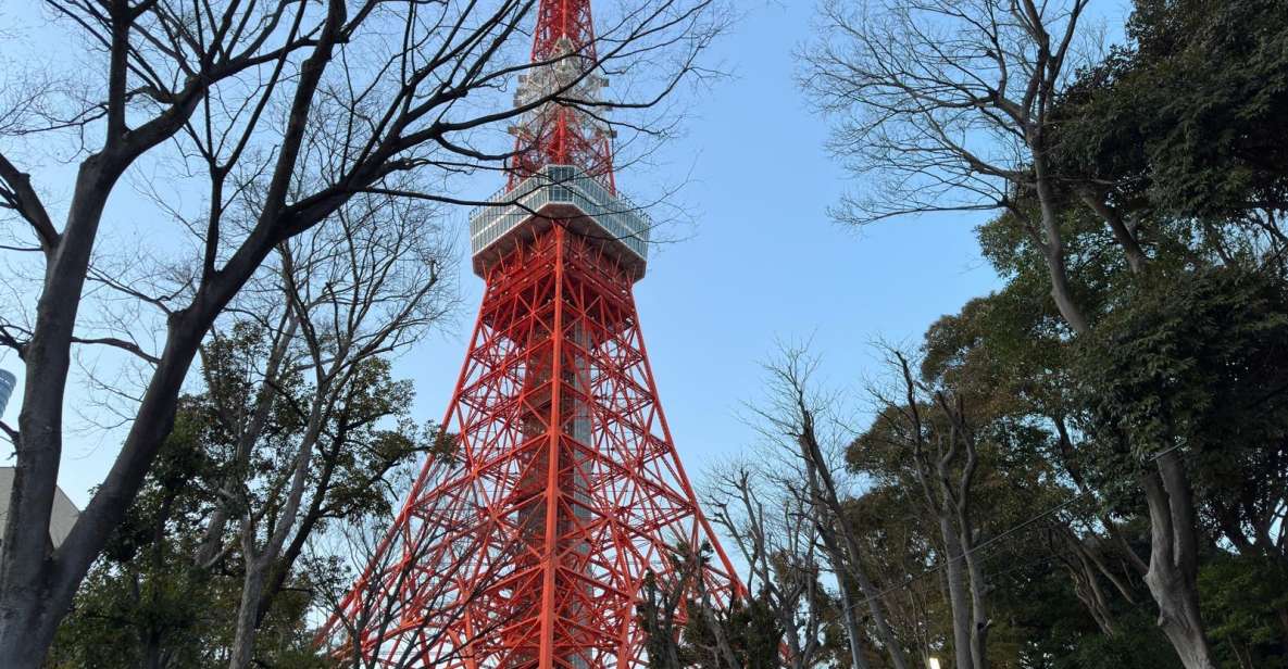 Tokyo: Private City Tour With Hotel Pickup and Drop-Off - Customizable Itinerary Options