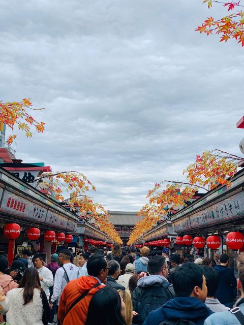 1 Day Tokyo Private Charter Sightseeing Tour With Guide - Guided Tour Experience Benefits