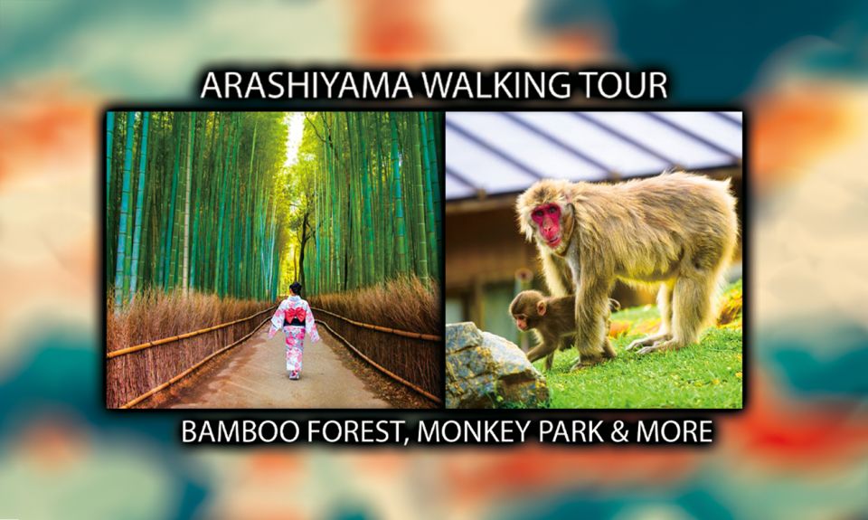 Arashiyama Kyoto: Bamboo Forest, Monkey Park & Secrets - Monkeying Around in Kyoto