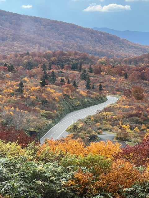 Driving Support in Akita - Your Drive Support Advisor