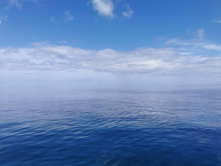 From Naha Scuba Diving Trip in Kerama(For Certified Divers) - Whats Included and Add-ons