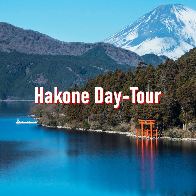From Tokyo: 10-hour Hakone Private Custom Tour - Traveling in Comfort and Style