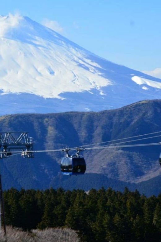 From Tokyo: 10-hour Hakone Private Custom Tour - Expert Guides and Transportation