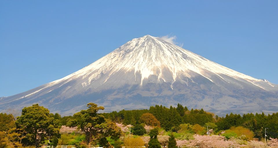 From Tokyo: 10-hour Private Tour to Mount Fuji and Hakone - Tour Itinerary and Schedule