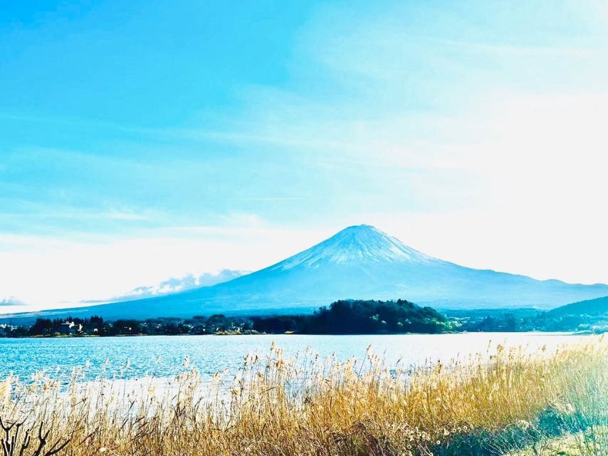 From Tokyo: Guided Day Trip to Kawaguchi Lake and Mt. Fuji - Whats Included in the Tour