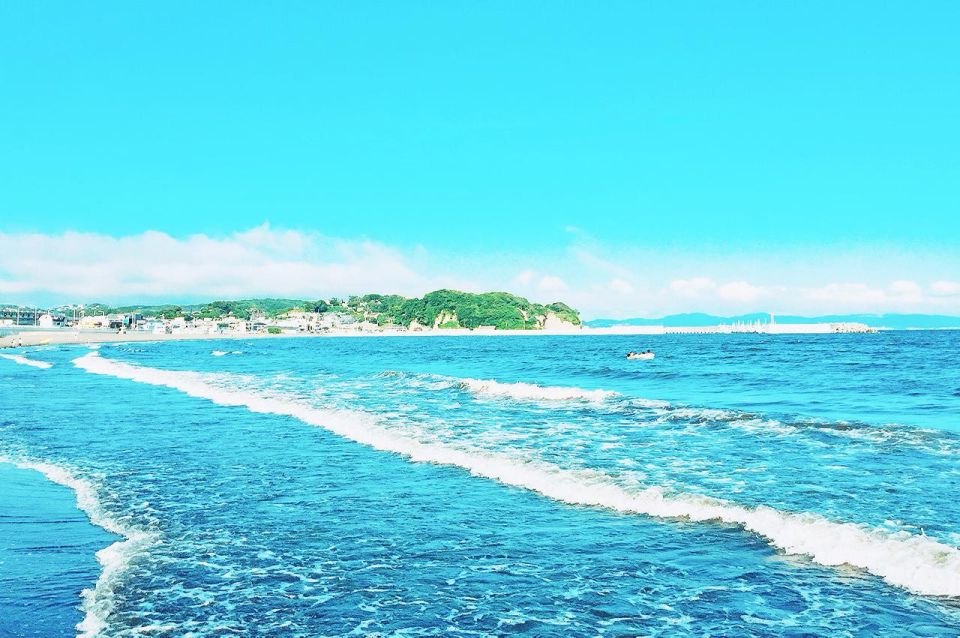 From Tokyo: Kamakura, Hasedera Temple and Enoshima Day Trip - Whats Included and Excluded