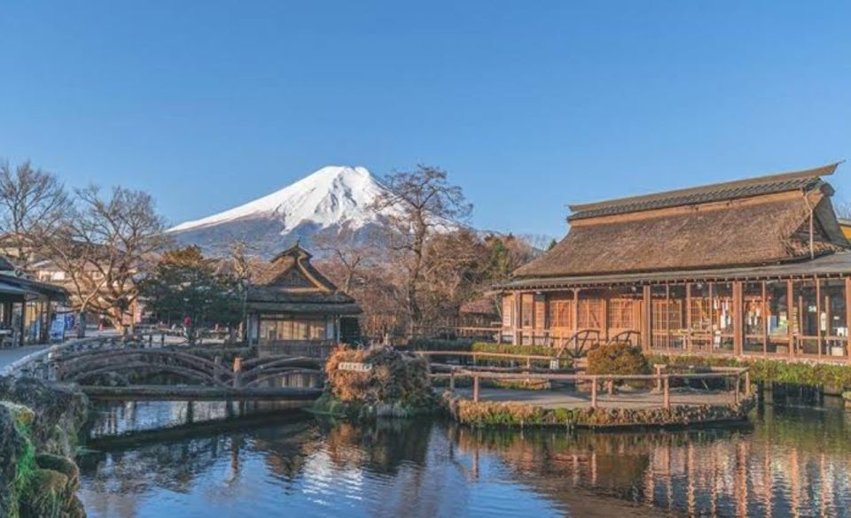 From Tokyo: Mount Fuji Full Day Private Tours English Driver - Private Tour Experience