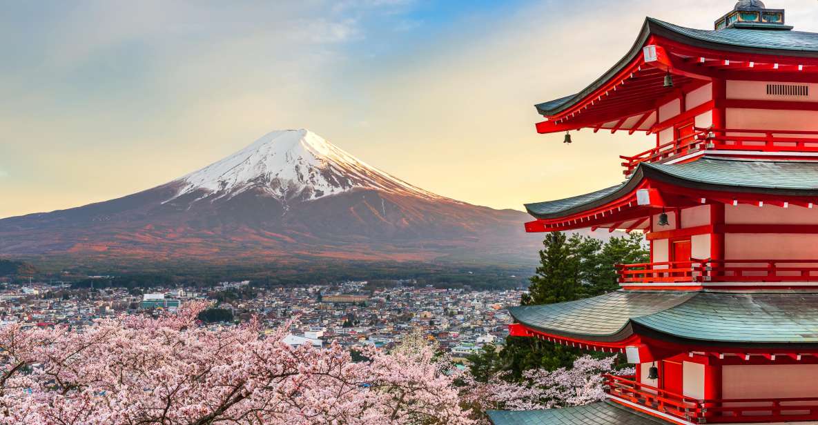 From Tokyo: Mt. Fuji or Hakone Private Sightseeing Day Trip - Reviews and Ratings Summary