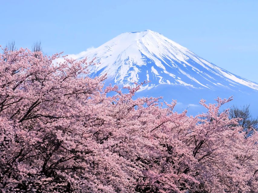 From Tokyo to Mount Fuji: Full-Day Tour and Hakone Cruise - Exploring Mt. Fuji and Hakone