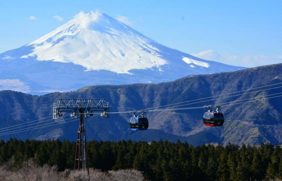 Hakone: 10-hour Customizable Private Tour - Private Tour Inclusions and Fees