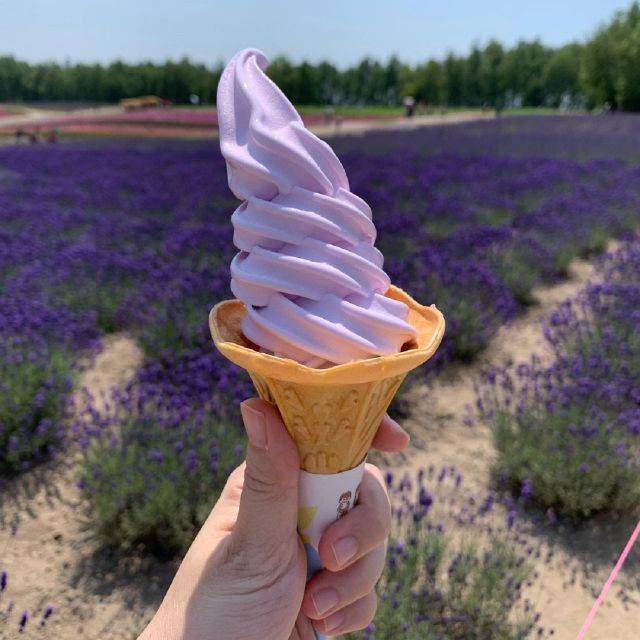 Hokkaido: Biei Blue Pond and Furano Flower Farm Day Trip - Whats Included in the Tour