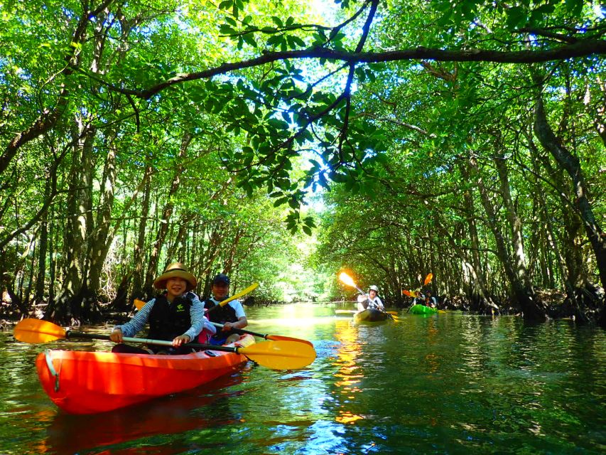 Iriomote Island: Kayaking and Canyoning Tour - What to Expect and Bring