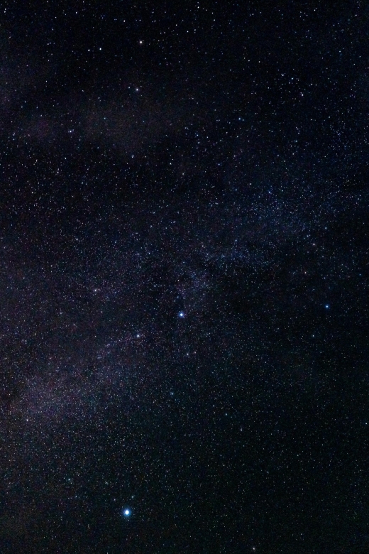 Ishigaki Island: the Best Starry Sky Cruising - Onboard Amenities and Services