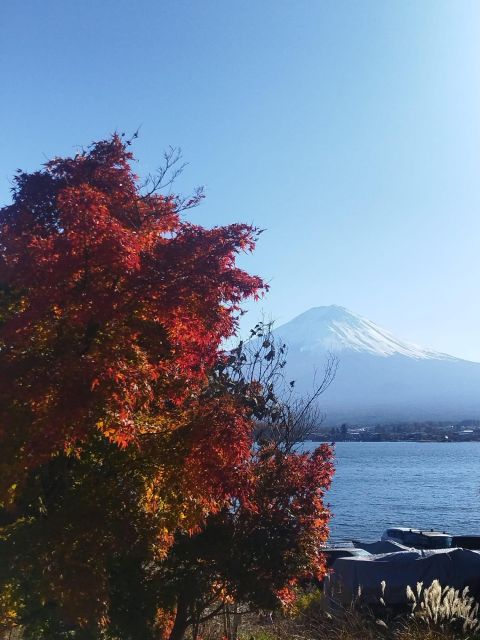 Mount Fuji-Lake Kawaguchi Private Tour With Bilingual Driver - Whats Included in Tour