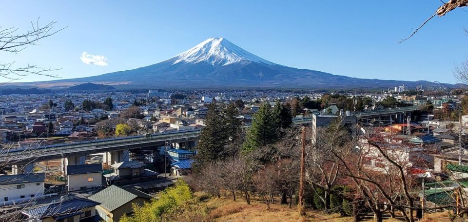 Mt Fuji and Hakone Private Tour With English Speaking Driver - Exploring Mt Fuji Area