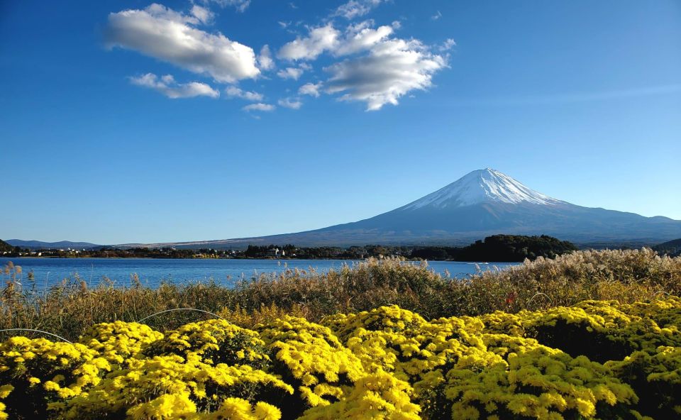 Mt Fuji: Full Day Private Tour With English Guide - Whats Included and Excluded