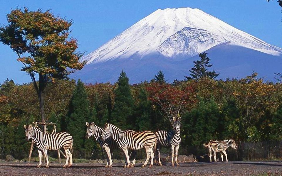 Mt Fuji : Highlight Tour and Unforgettable Experience - Whats Included and Excluded