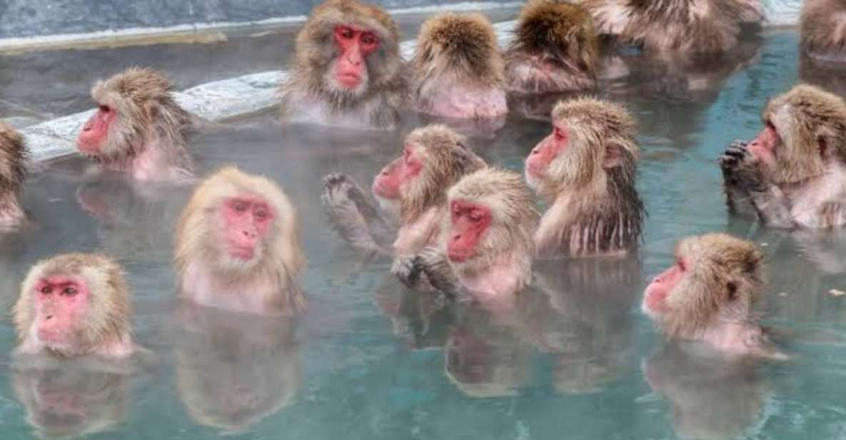 Nagano Full Day Private Tour: Zenkoji Temple, by Car - Private Transportation and Guides