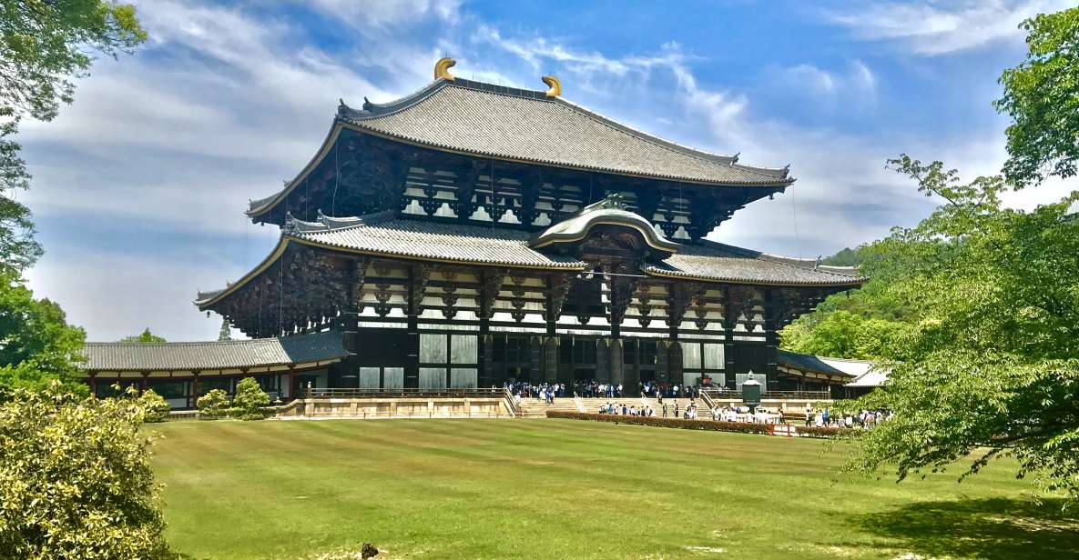 Nara: Todai-ji and Nara Park - What to Expect and Prepare