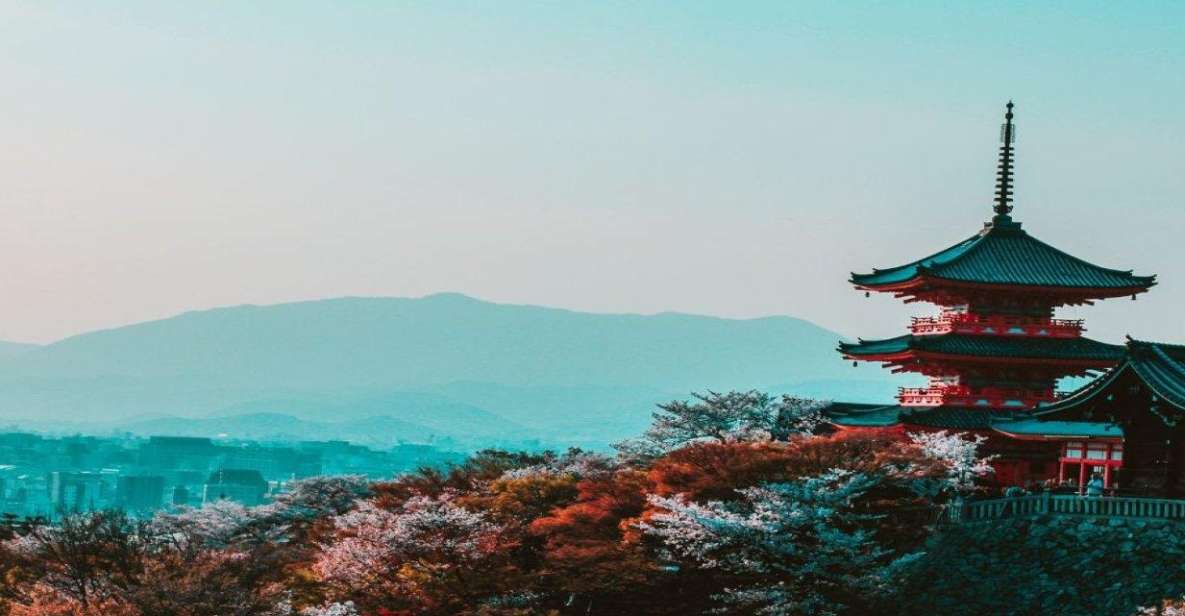 Osaka : Must-see & Hidden Gems Walking Tour - What to Expect on the Tour