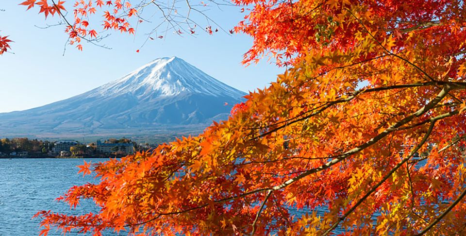 Private Charter Car One Day Trip in Near Tokyo! - Inclusions and Exclusions