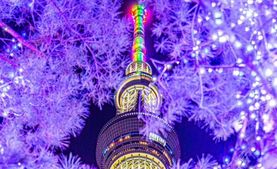 Tokyo City Customized Tour With English Speaking Guide - Private Transportation and Amenities