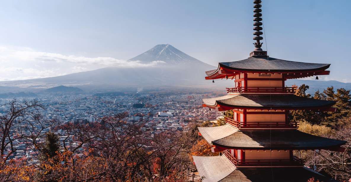 Tokyo: Mount Fuji Customizable Private Tour by Car - Customizable Itinerary Options
