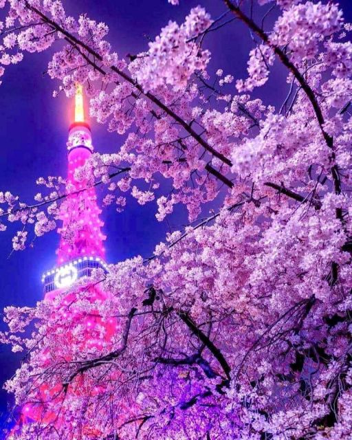 1 Day Tokyo Private Charter Sightseeing Tour With Guide - Whats Included in the Tour