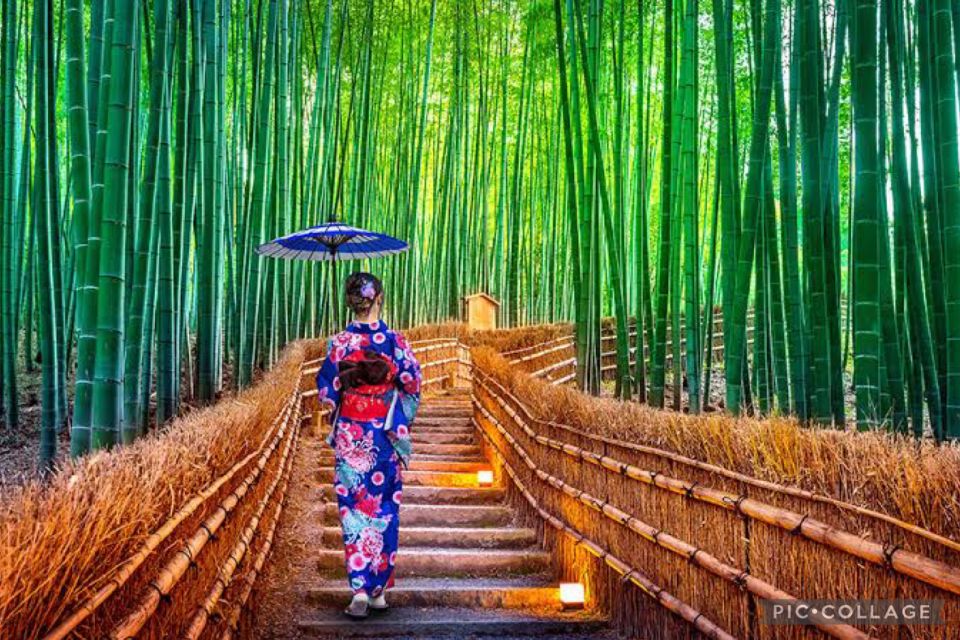 ALL-IN Private Tour KYOTO W/Hotel Pick-Up and Drop-Off - Whats Included and Excluded