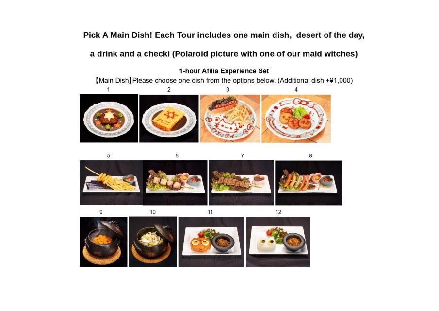 Expert Anime Guide in Akihabara With a Maid Witch - Important Tour Rules