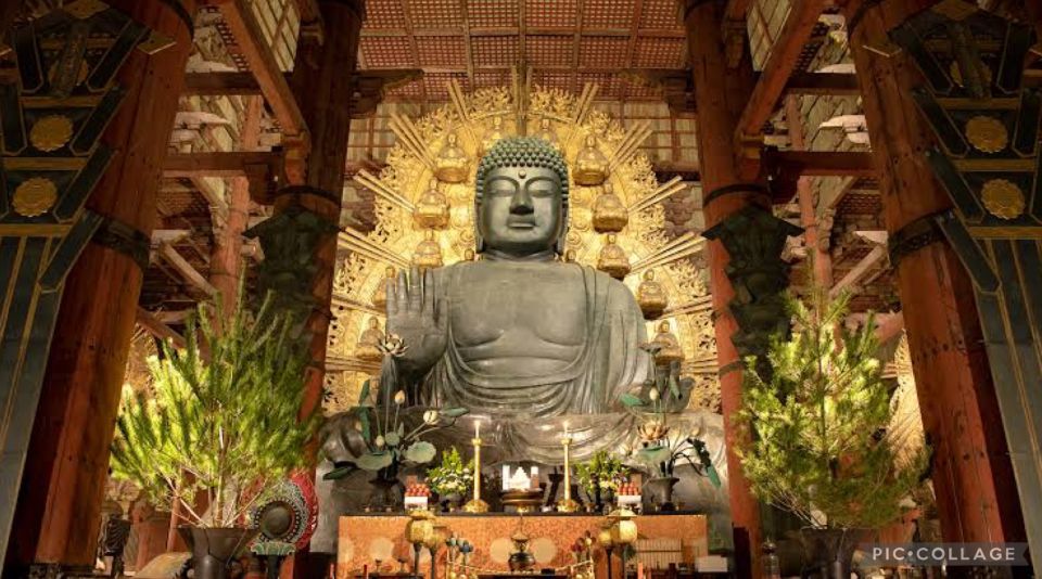 From Osaka/Kyoto: Private Kyoto & Nara Day Trip With Pickup - Preparing for Your Day Trip