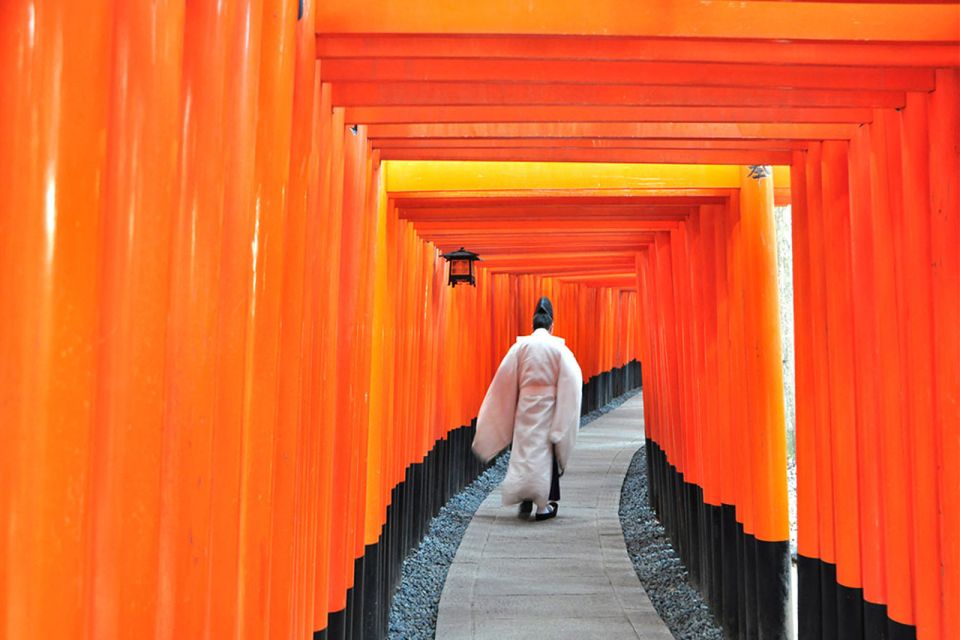 From Osaka: Kyoto Top Highlights Day Trip - Important Information and Reminders