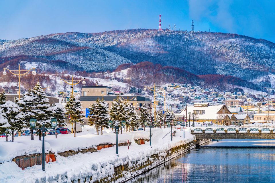 From Sapporo: 10-hour Customized Private Tour to Otaru - Private Car and Driver Details