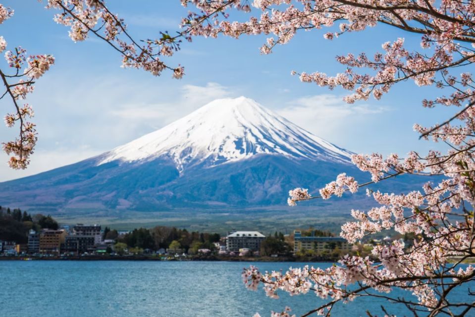 From Tokyo: 10-hour Mount Fuji Private Customizable Tour - Booking and Cancellation Policy