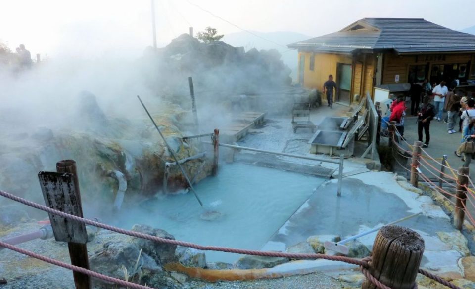 From Tokyo: Mount Fuji Private Sightseeing Day Trip - Reviews From Past Travelers