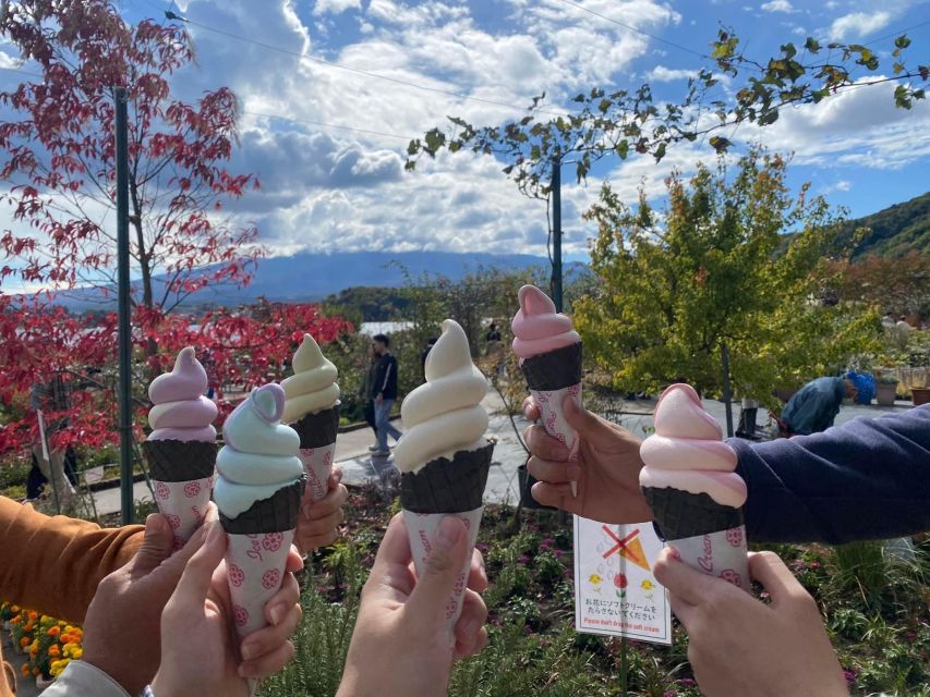 From Tokyo: Private Mount Fuji & Hakone Full-Day Guided Trip - What to Expect on This Tour