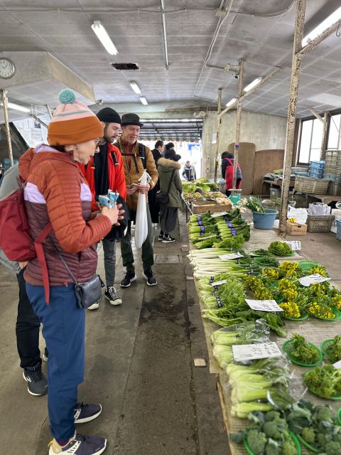 Kamakura: Cycle Through Centuries - Important Details to Know
