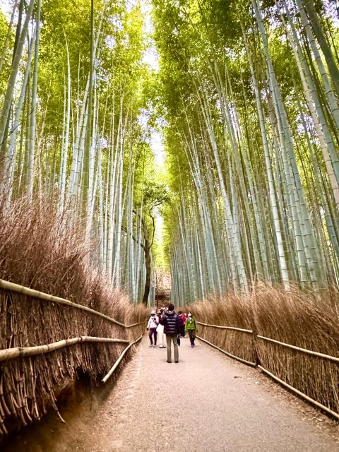 Kyoto: Fully Customizable Half Day Tour in the Old Capital - Optional Stop Highlights