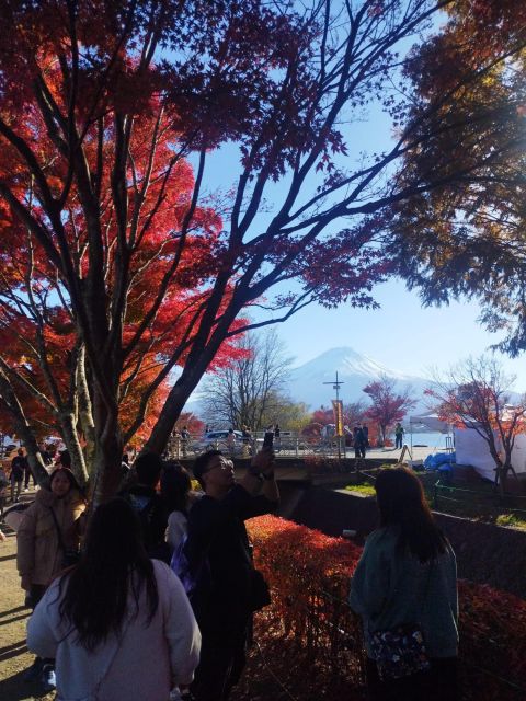 Mount Fuji-Lake Kawaguchi Private Tour With Bilingual Driver - Exclusions and Extras
