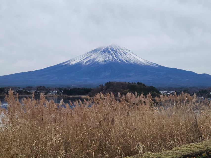 Mt Fuji and Hakone Private Tour With English Speaking Driver - Mt Fuji and Hakone Highlights